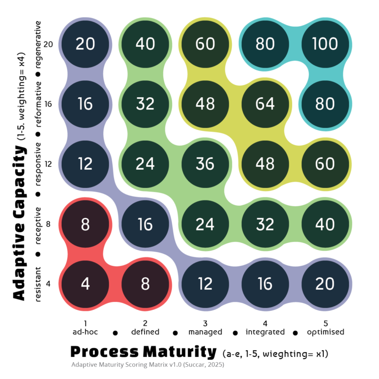 Measuring Adaptive Maturity
