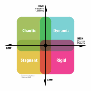 Understanding Adaptive Maturity