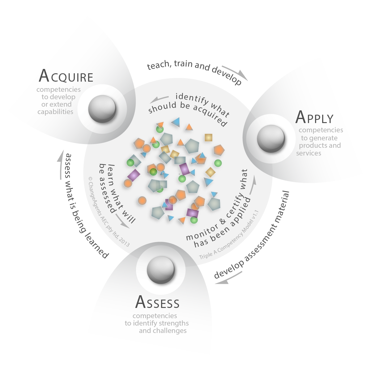 Featured image for “20. Triple A Competency Model”
